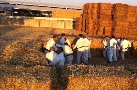 אימוני שאי-הון בחבילות קש